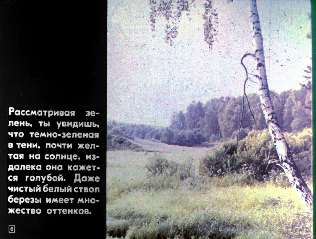 Кадр 6 диафильма «Мир цвета»