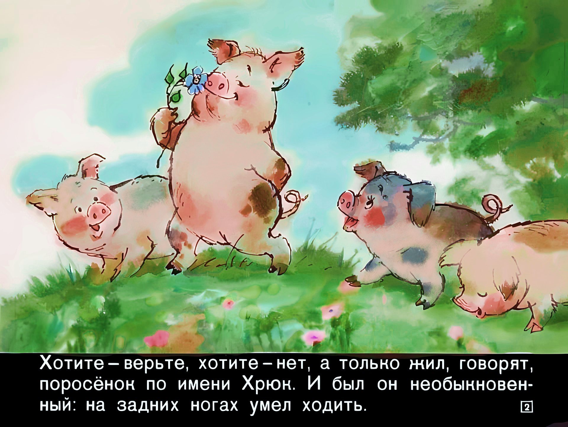 Кадр 2 диафильма «Хрюк на елке»