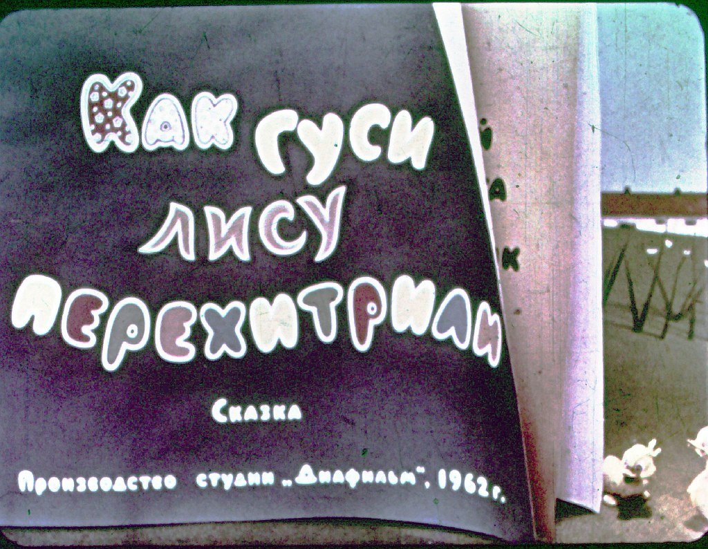 Кадр 1 диафильма «Как гуси лису перехитрили»