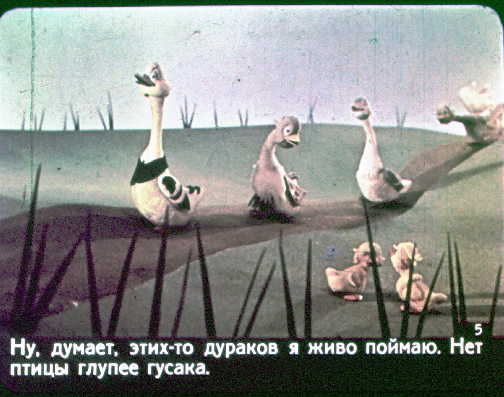 Кадр 5 диафильма «Как гуси лису перехитрили»