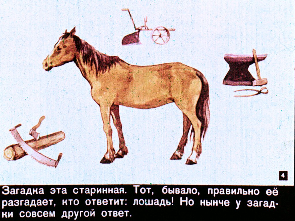 Кадр 4 диафильма «Загадки и разгадки»
