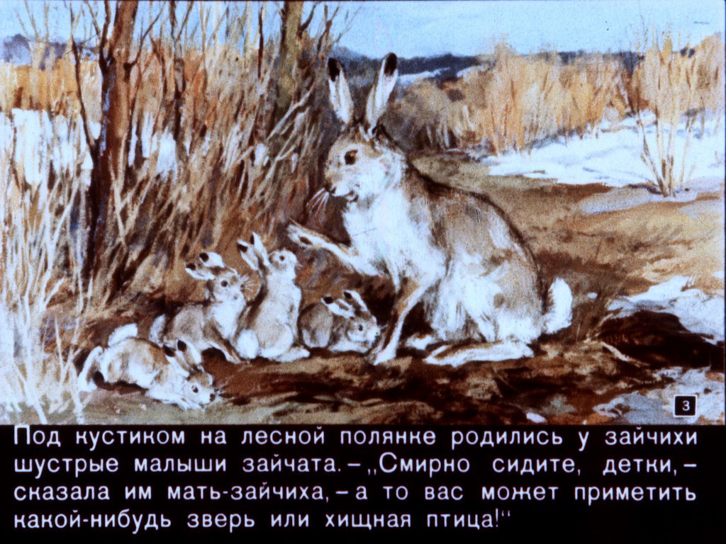 Кадр 3 диафильма «Зайкин год»