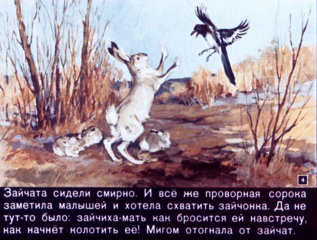 Кадр 4 диафильма «Зайкин год»