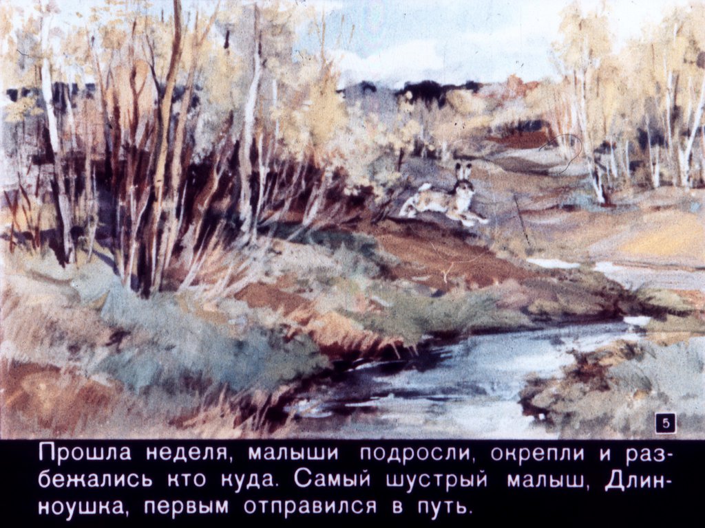 Кадр 5 диафильма «Зайкин год»