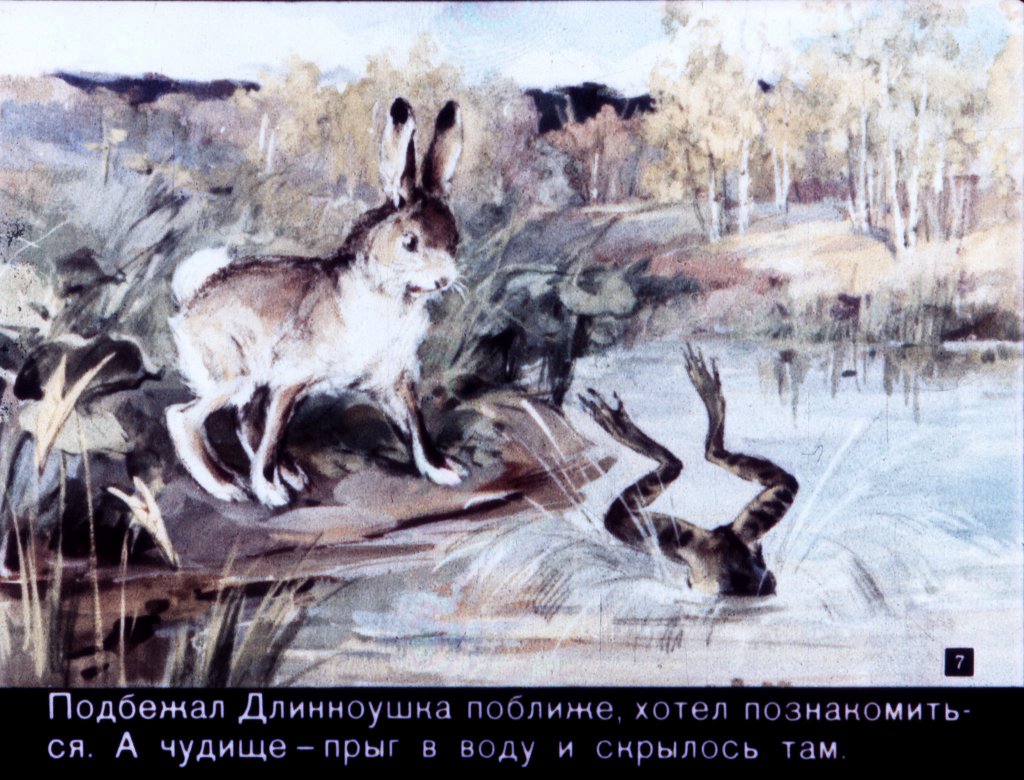 Кадр 7 диафильма «Зайкин год»