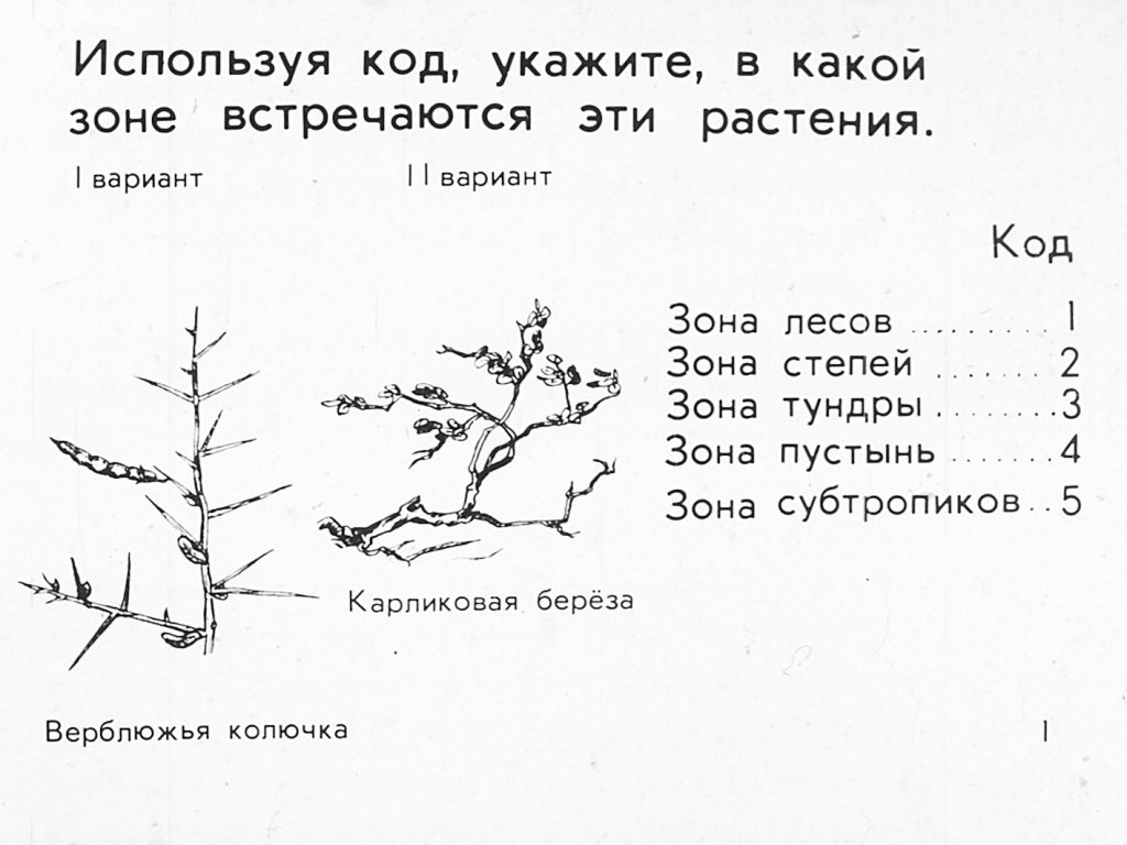 Кадр 1 диафильма «Растения и внешняя среда»