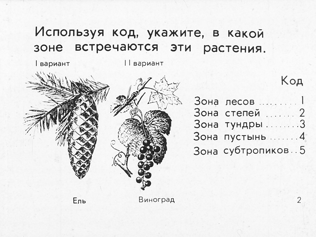 Кадр 2 диафильма «Растения и внешняя среда»