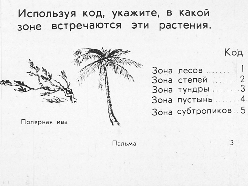 Кадр 3 диафильма «Растения и внешняя среда»