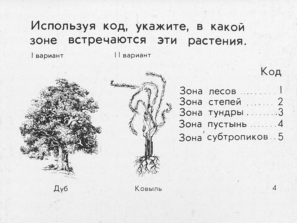 Кадр 4 диафильма «Растения и внешняя среда»