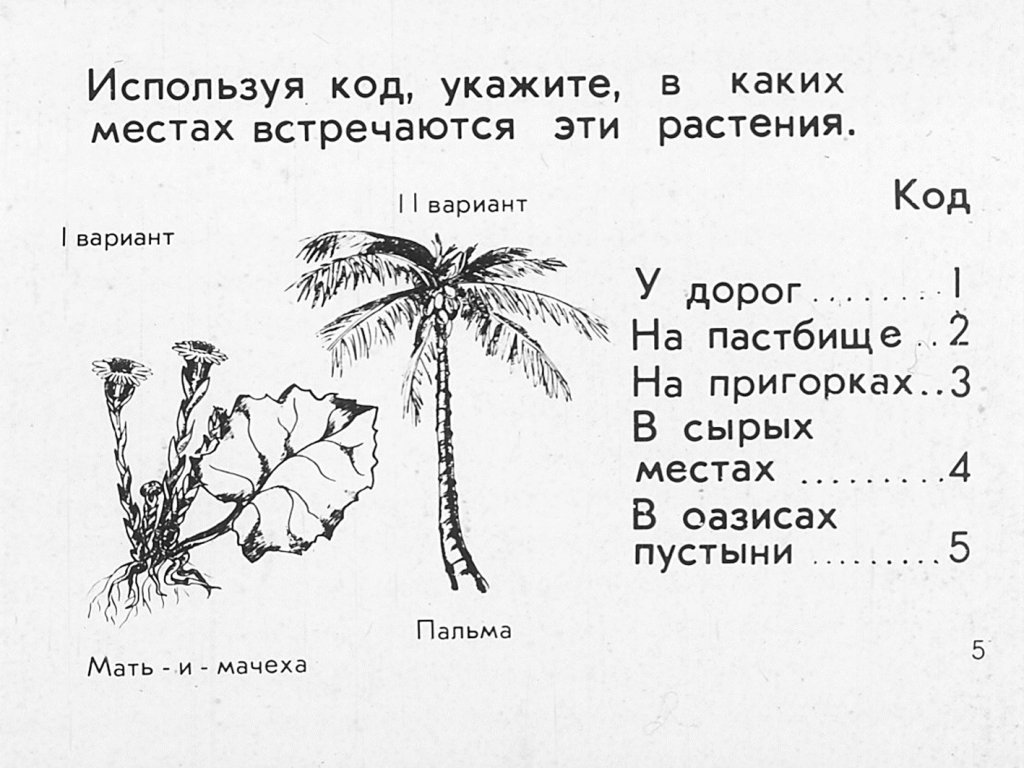 Кадр 5 диафильма «Растения и внешняя среда»