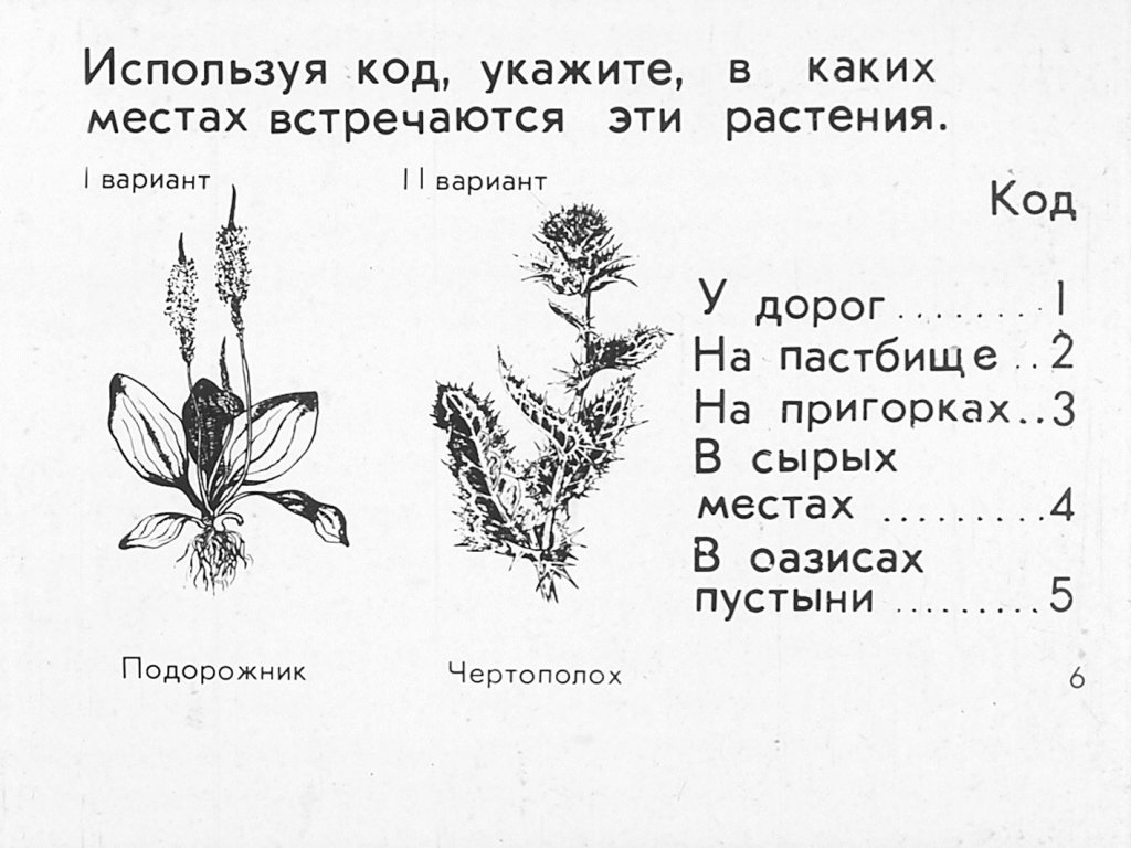 Кадр 6 диафильма «Растения и внешняя среда»
