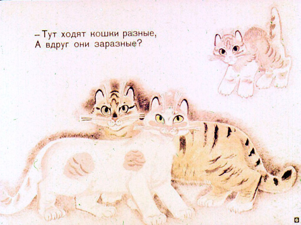 Кадр 6 диафильма «Посторонняя кошка»