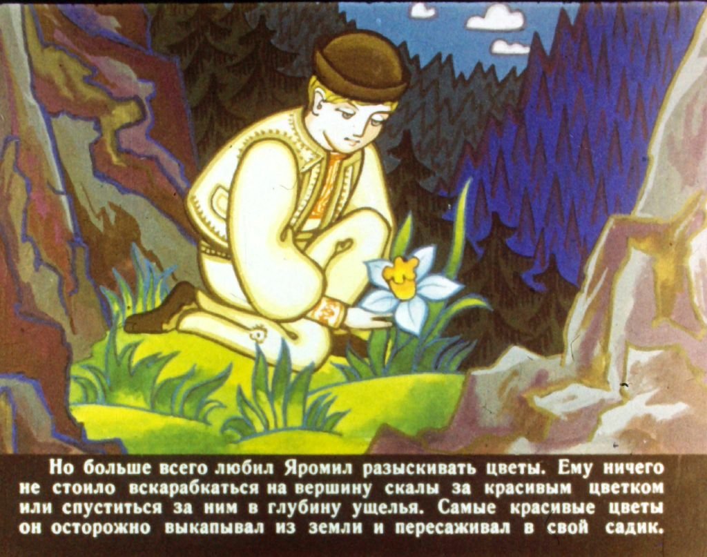 Кадр 4 диафильма «Счастье Яромила»
