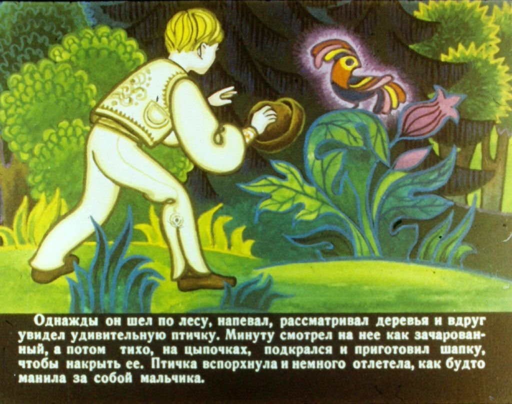 Кадр 5 диафильма «Счастье Яромила»