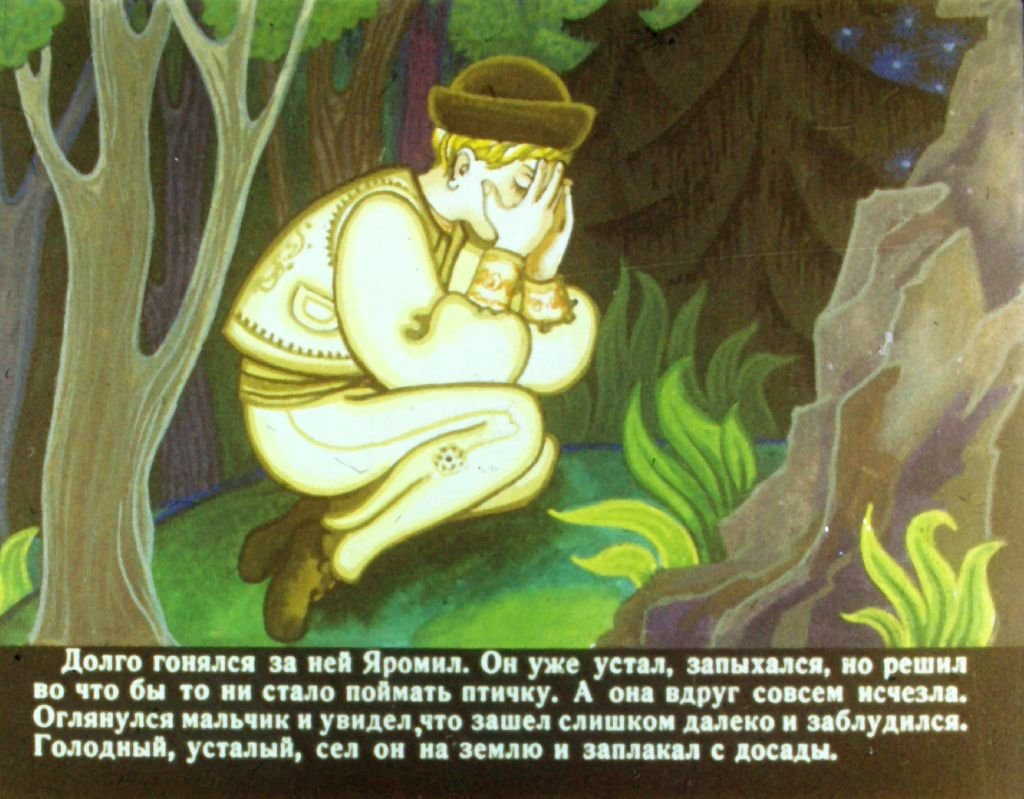 Кадр 6 диафильма «Счастье Яромила»