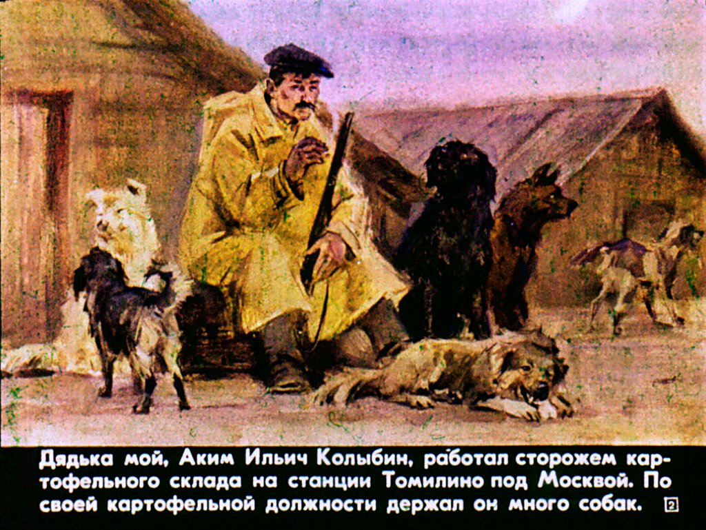 Кадр 2 диафильма «Картофельная собака»