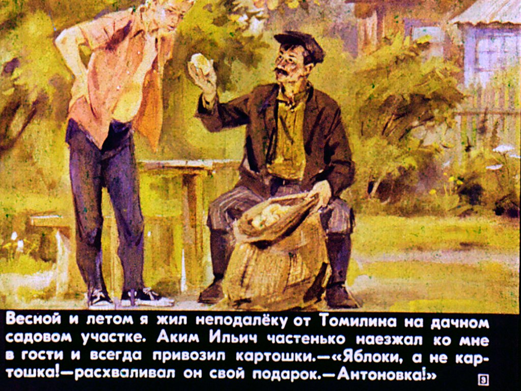 Кадр 3 диафильма «Картофельная собака»