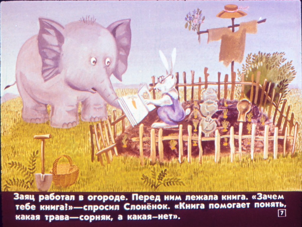 Кадр 7 диафильма «Слоненок и письмо»