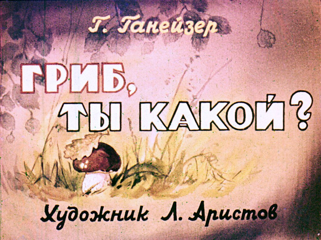 Кадр 1 диафильма «Гриб, ты какой?»
