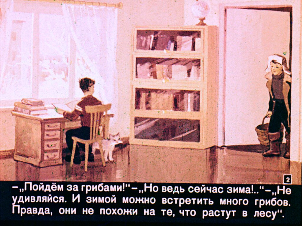 Кадр 2 диафильма «Гриб, ты какой?»