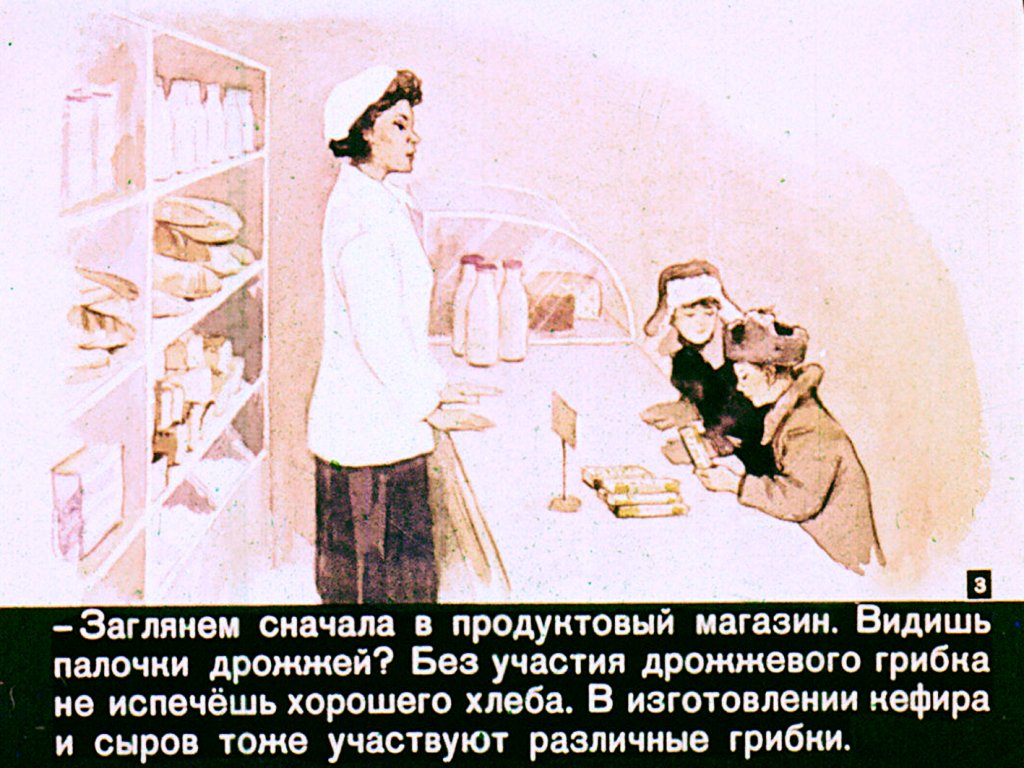 Кадр 3 диафильма «Гриб, ты какой?»