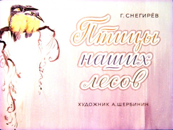 Кадр 1 диафильма «Птицы наших лесов»