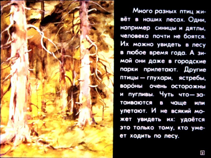 Кадр 2 диафильма «Птицы наших лесов»
