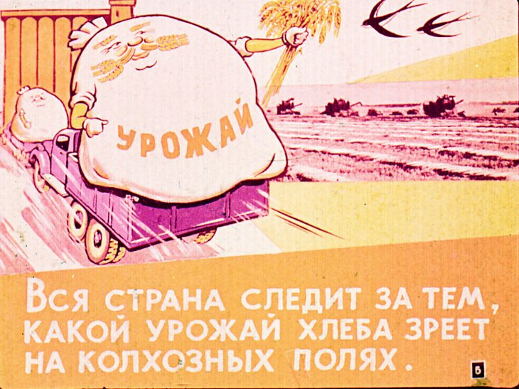 Кадр 5 диафильма «Всему голова»