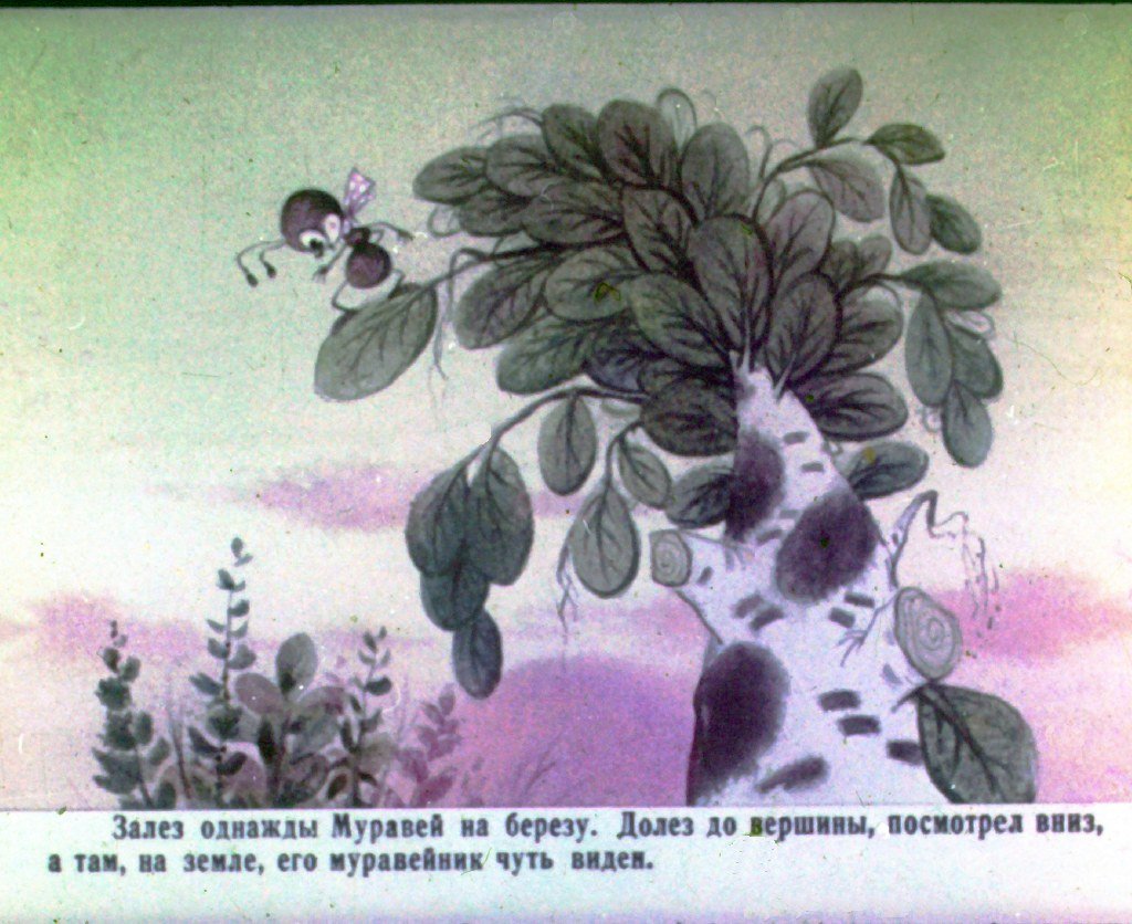 Кадр 3 диафильма «Как муравьишка домой спешил»