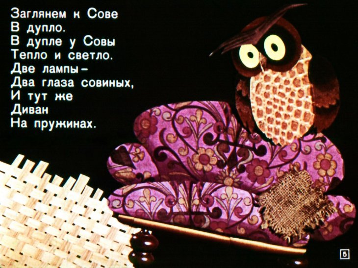 Кадр 5 диафильма «Леса-чудеса»