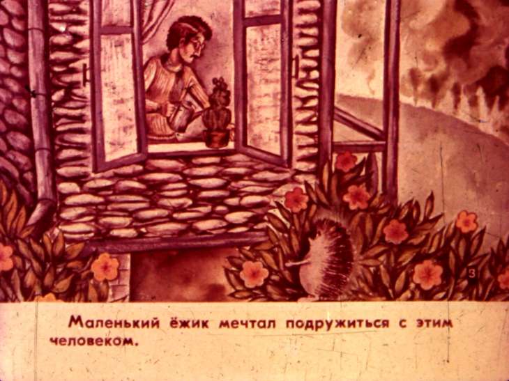 Кадр 4 диафильма «Кактус. Часть 1»