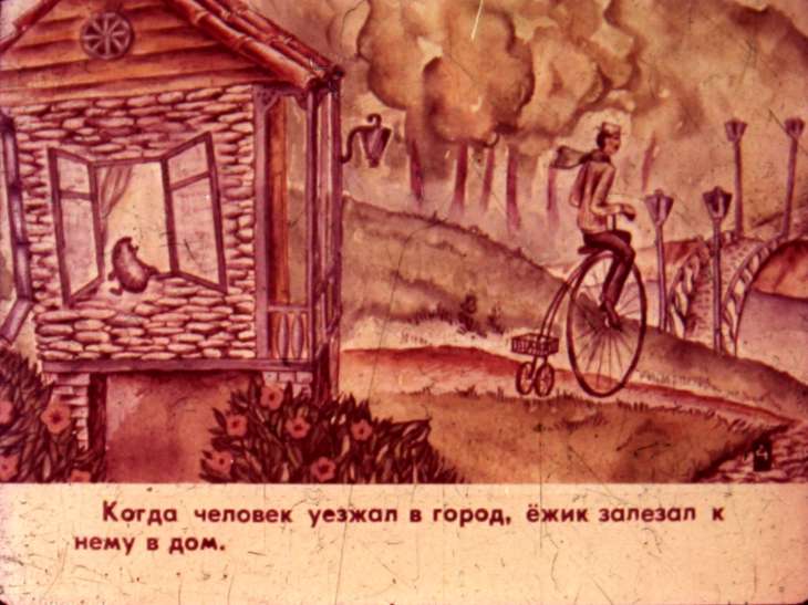 Кадр 5 диафильма «Кактус. Часть 1»