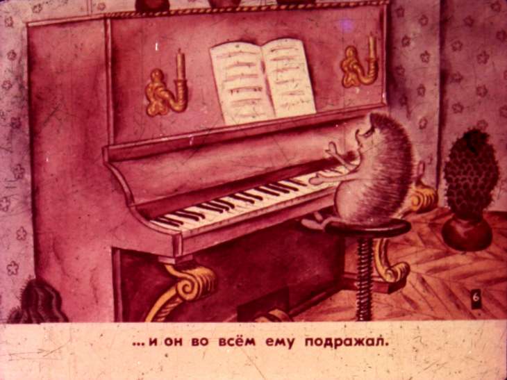 Кадр 7 диафильма «Кактус. Часть 1»