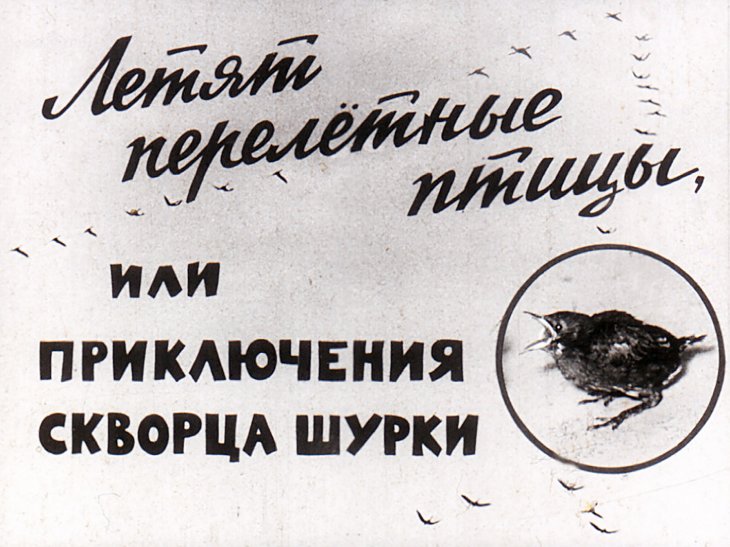 Кадр 1 диафильма «Летят перелетные птицы, или Приключения скворца Шурки»