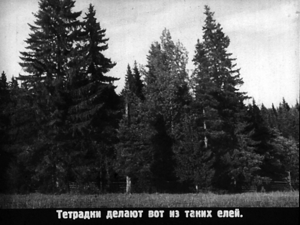 Кадр 4 диафильма «История тетрадки»