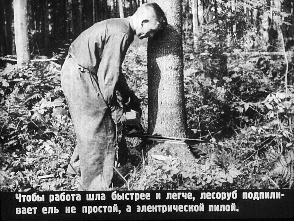 Кадр 5 диафильма «История тетрадки»