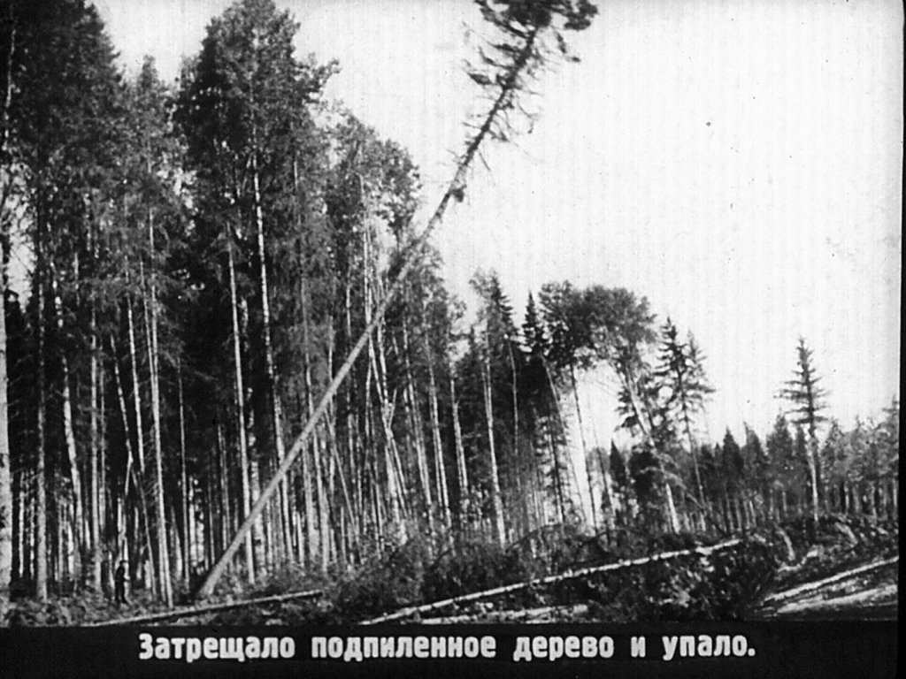 Кадр 6 диафильма «История тетрадки»