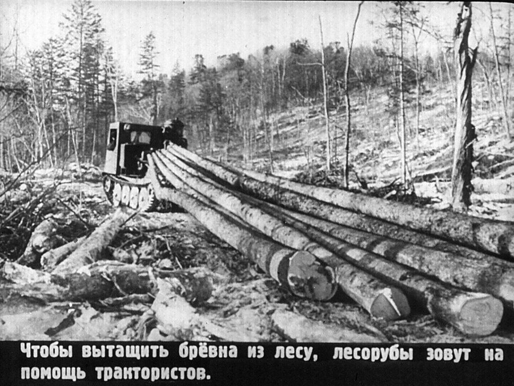 Кадр 7 диафильма «История тетрадки»