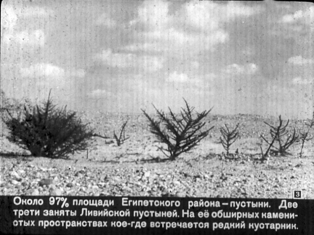 Кадр 3 диафильма «ОАР»