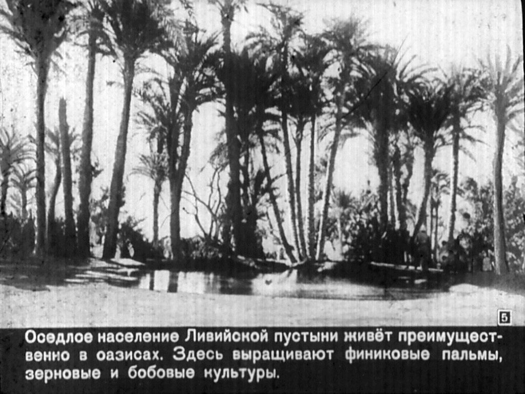 Кадр 5 диафильма «ОАР»