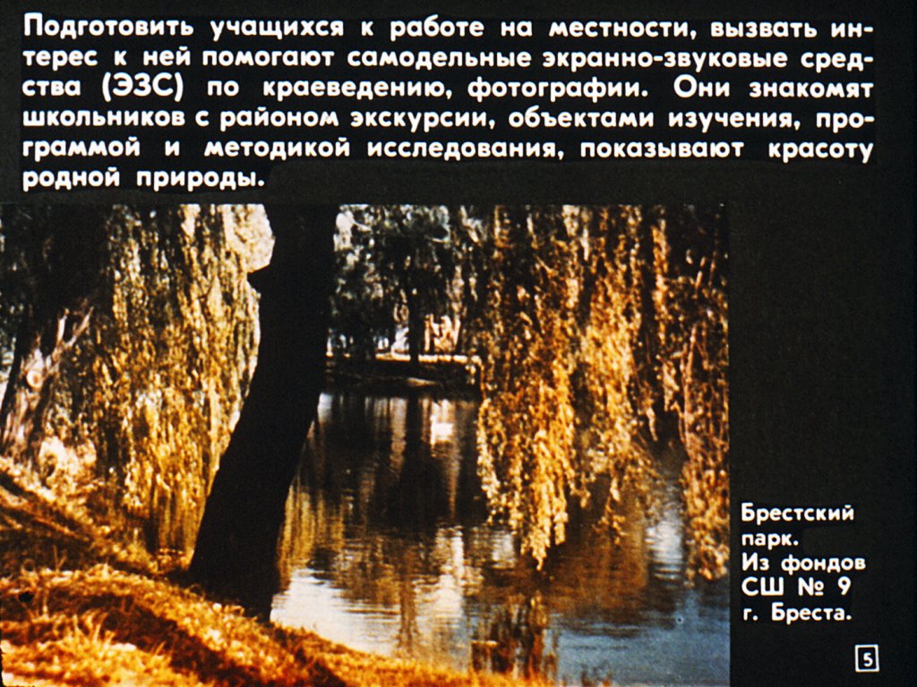 Кадр 5 диафильма «Использование краеведческого материала на уроках географии в V классе»