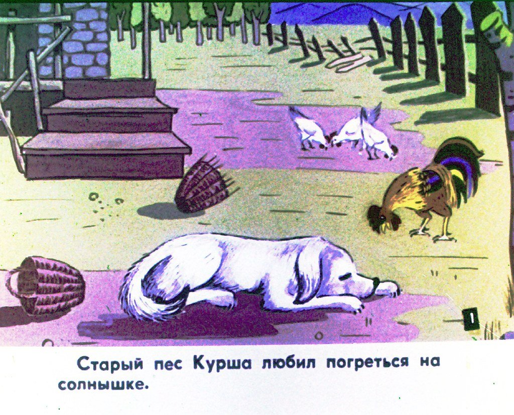 Кадр 2 диафильма «Курша»