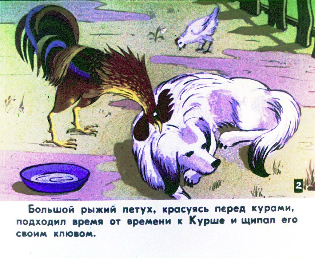 Кадр 3 диафильма «Курша»