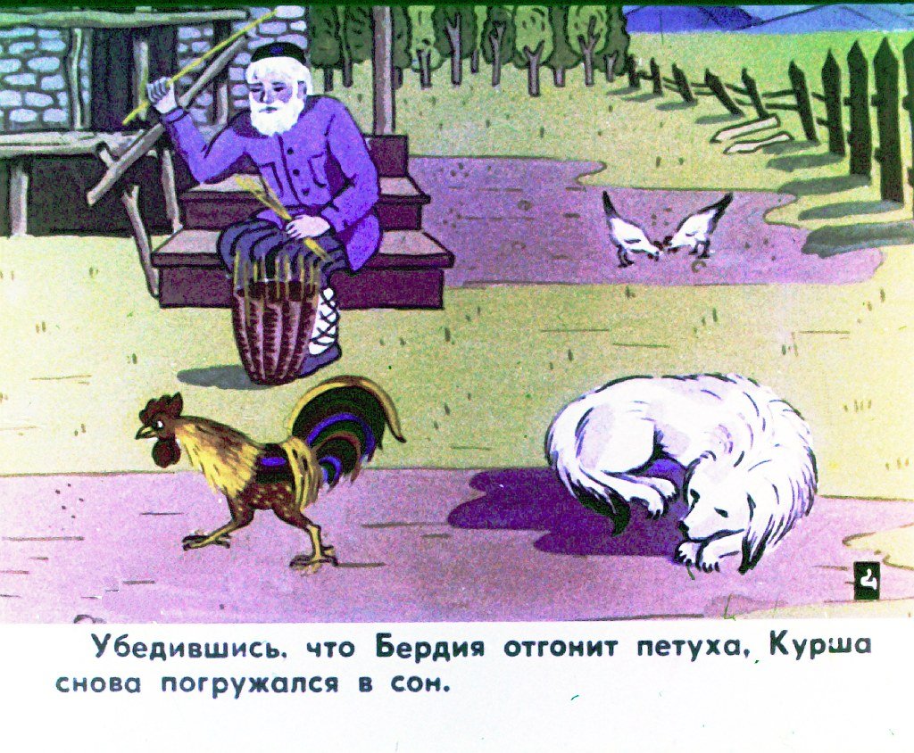 Кадр 5 диафильма «Курша»