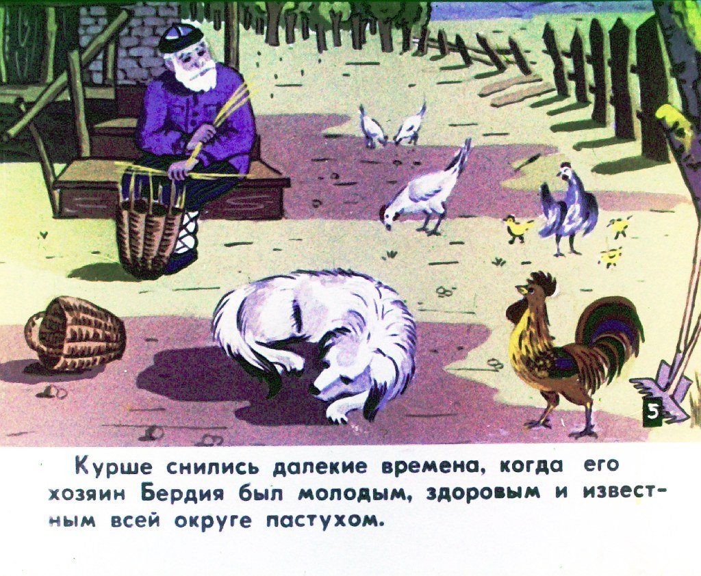 Кадр 6 диафильма «Курша»