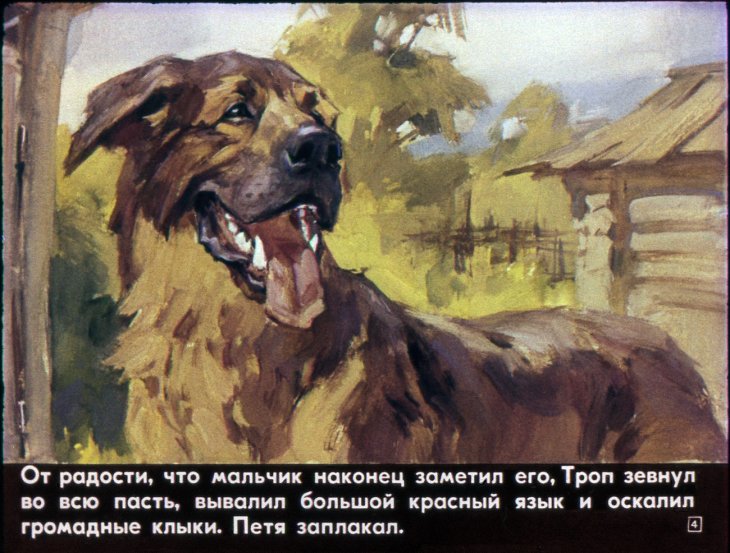 Кадр 4 диафильма «Троп»