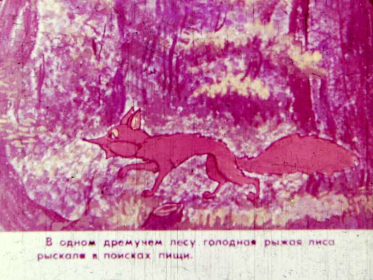 Кадр 3 диафильма «Лиса»