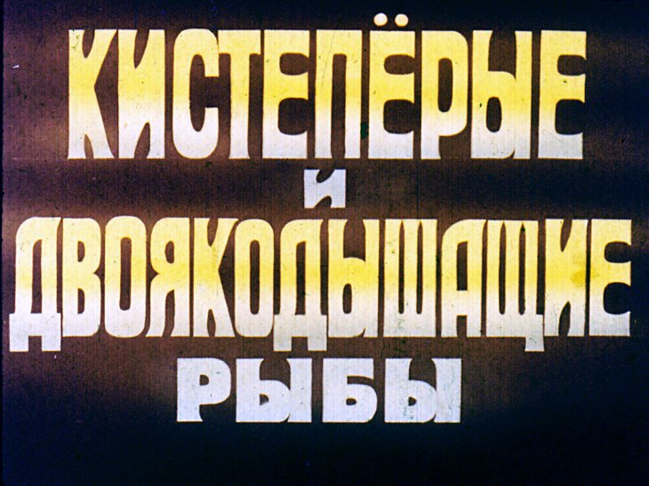 Кадр 1 диафильма «Кистеперые и двоякодышащие рыбы»