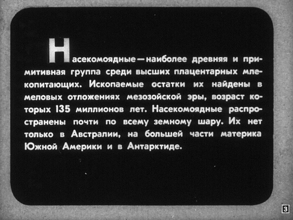 Кадр 3 диафильма «Отряды: насекомоядные, рукокрылые»