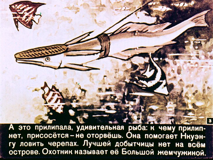 Кадр 3 диафильма «Большая жемчужина»